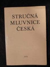 náhled knihy - Stručná mluvnice česká