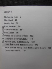 náhled knihy - 