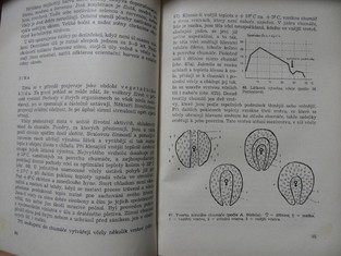 náhled knihy - 