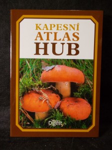náhled knihy - 
