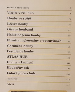 náhled knihy - 