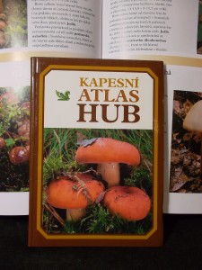 náhled knihy - 