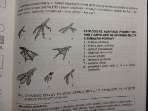 náhled knihy - 