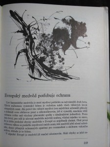 náhled knihy - 