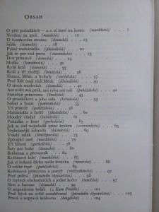 náhled knihy - 