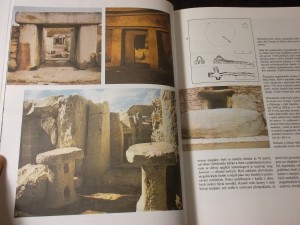 náhled knihy - 