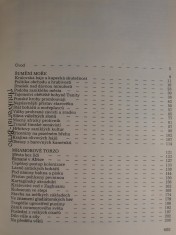 náhled knihy - 