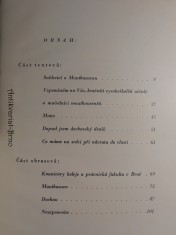 náhled knihy - 