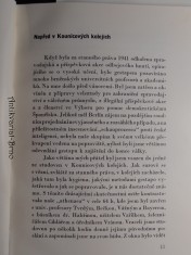 náhled knihy - 