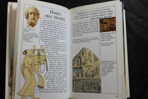 náhled knihy - 