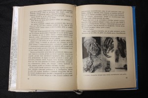 náhled knihy - 