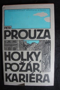 náhled knihy - Holky, požár, kariéra : výbor krátkých próz