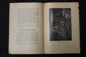 náhled knihy - 