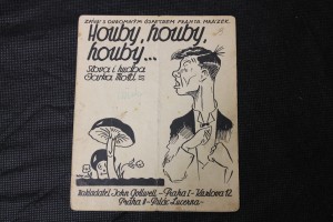 náhled knihy - Houby, houby, houby-