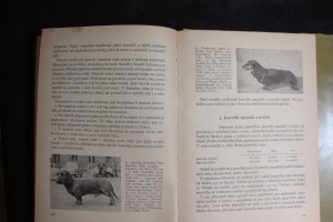 náhled knihy - 
