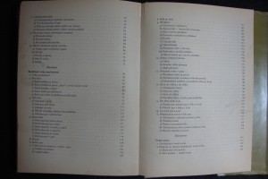 náhled knihy - 