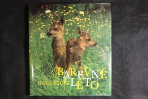 náhled knihy - Barevné léto