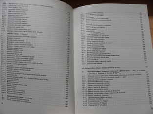 náhled knihy - 