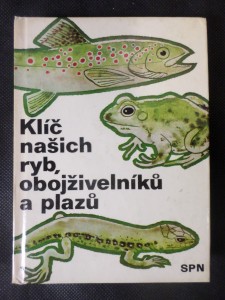 náhled knihy - Klíč našich ryb, obojživelníků a plazů : pomocná kniha k učebnicím zoologie všeobec. vzdělávacích, stř., odb. a vys. škol