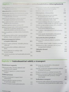 náhled knihy - 