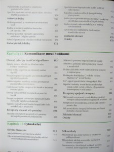 náhled knihy - 