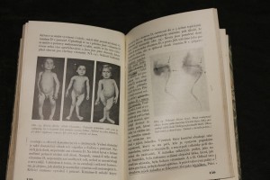 náhled knihy - Vitaminy, základ zdraví lidského i zvířecího