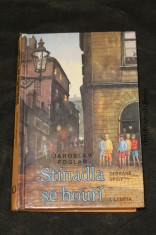 náhled knihy - Stínadla se bouří