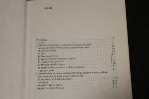 náhled knihy - 