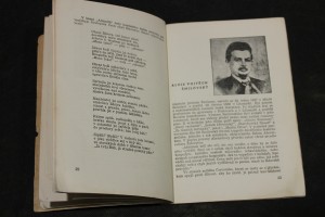 náhled knihy - 