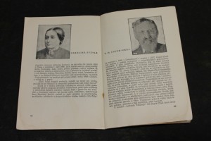 náhled knihy - 