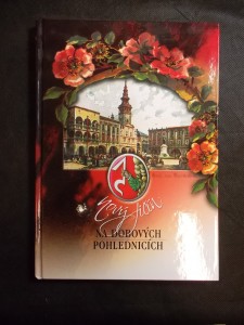 náhled knihy - Nový Jičín na dobových pohlednicích : ze sbírek Státního okresního archivu v Novém Jičíně, Muzea Novojičínska a soukromých sběratelů