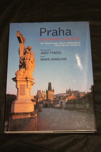 náhled knihy - Praha : (procházka staletími)
