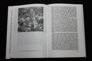 náhled knihy - 