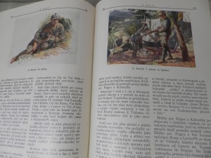 náhled knihy - 