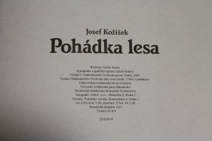 náhled knihy - 