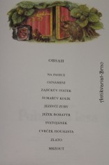 náhled knihy - 