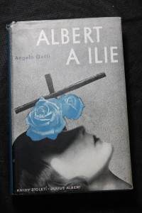 náhled knihy - Albert a Ilie