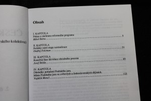 náhled knihy - 