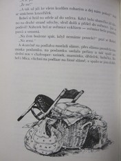 náhled knihy - 