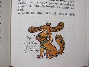 náhled knihy - 