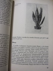 náhled knihy - 