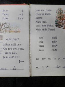 náhled knihy - 