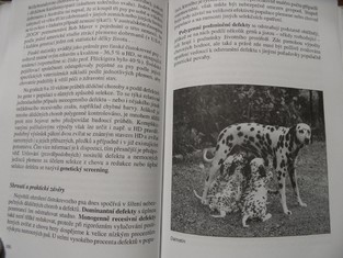 náhled knihy - 