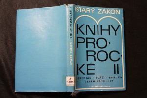 náhled knihy - 