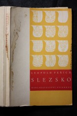 náhled knihy - Slezsko : přehled národnostního vývoje