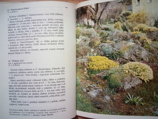 náhled knihy - 