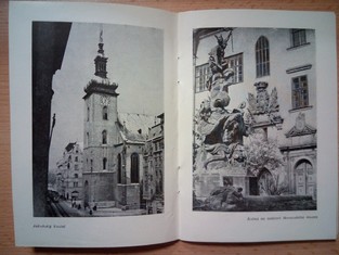 náhled knihy - 