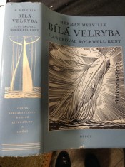 náhled knihy - Bílá velryba