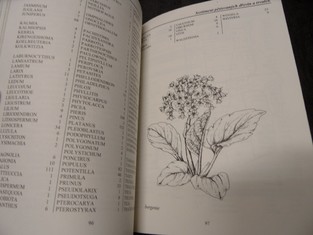 náhled knihy - 