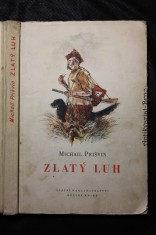 náhled knihy - Zlatý luh